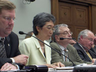 Doris W. Koo testified Green Resources for Energy